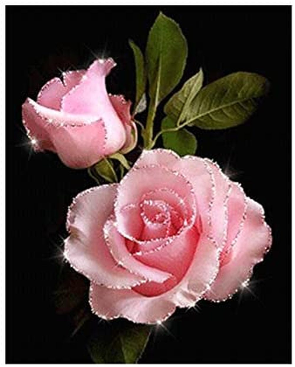 5D Pink Rose DIY Diamond Painting Kits