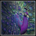 Load image into Gallery viewer, DIY 5D Round Full Drilled Peacock Diamond Painting
