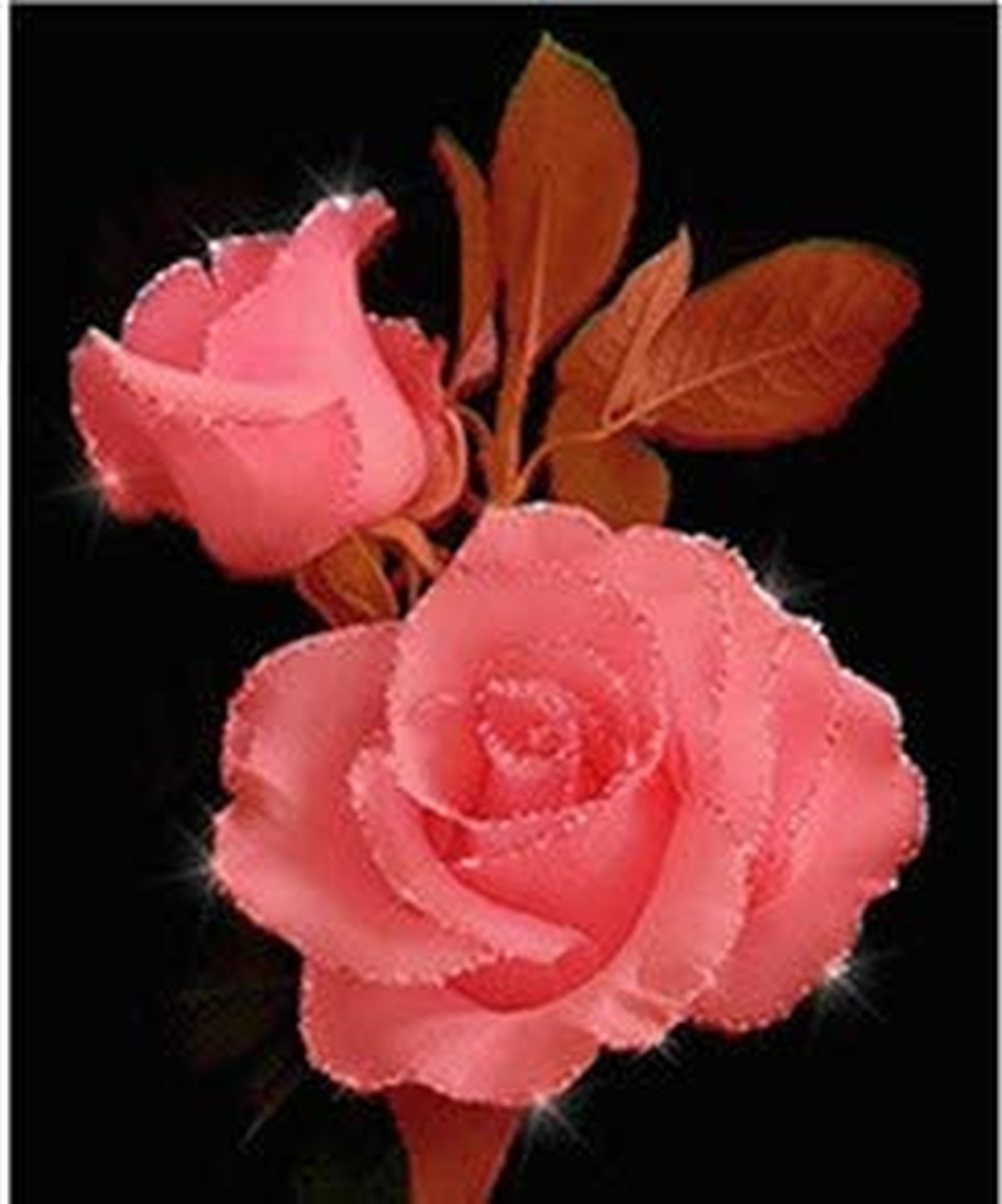 5D Pink Rose DIY Diamond Painting Kits